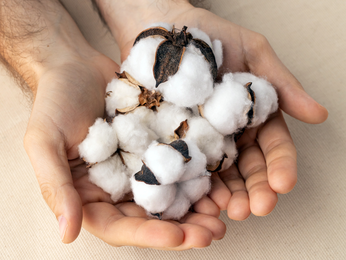 Strambótica: moda sostenible que transforma materiales en arte (y conciencia)