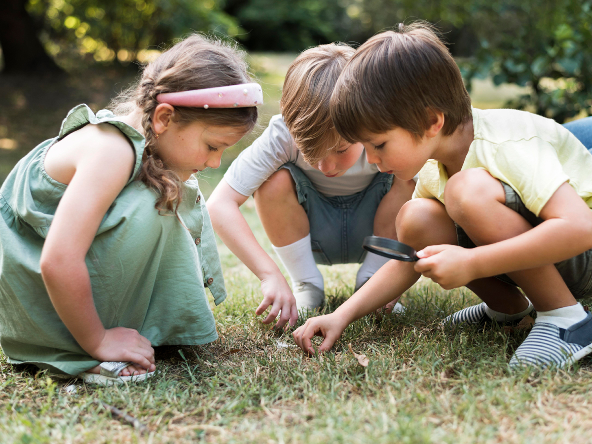 Actividades ecológicas para niños