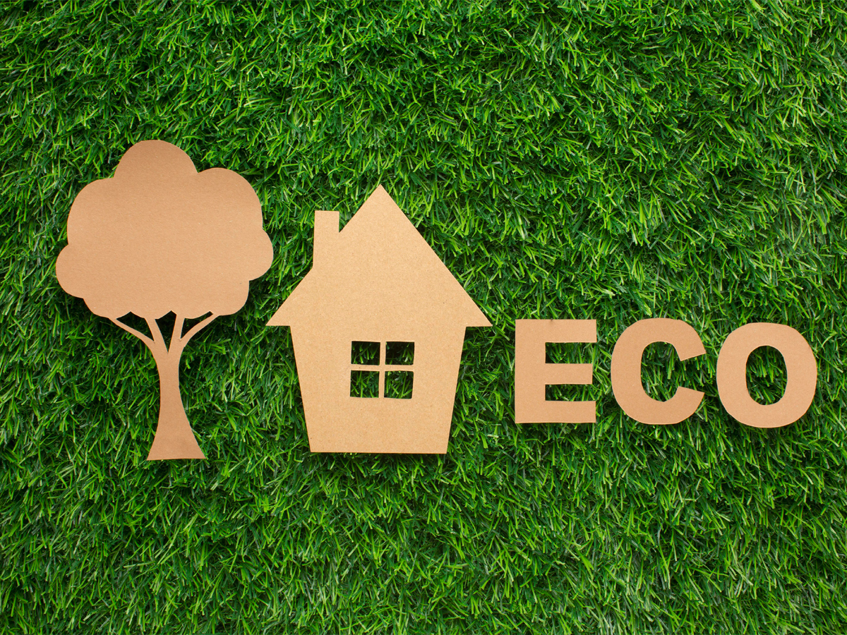 10 Consejos para un hogar ecológico