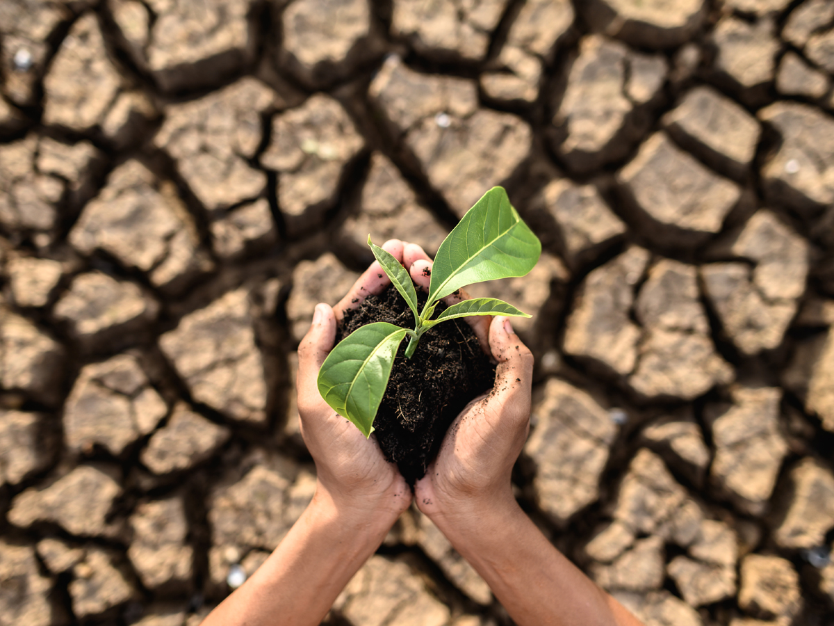 ¿Cómo nos está afectando el cambio climático?