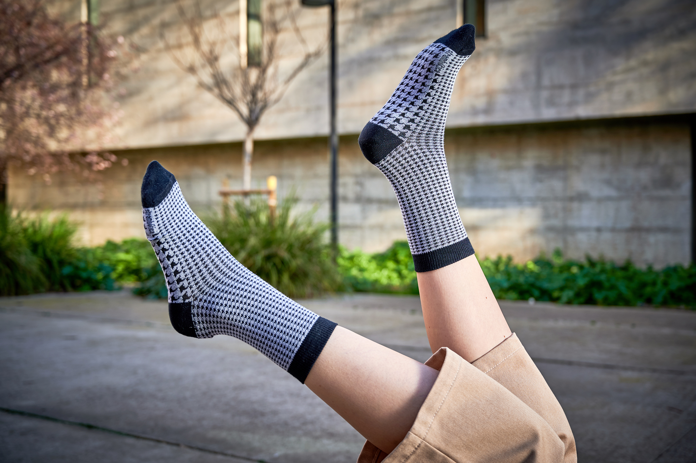 Calcetines Strambotica